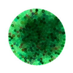 PocketPick: The Glow In The Dark Popping Fidget Toy Simple Pinch Family