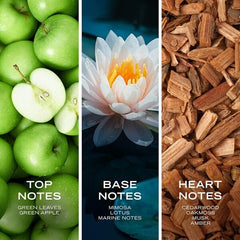 Nautica Voyage Eau De Toilette Spray Bottle for Men (100mL) Simple Showcase