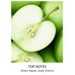 Nautica Voyage Eau De Toilette Spray Bottle for Men (100mL) Simple Showcase