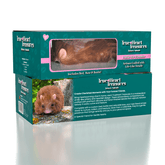 TrueHeart Treasures Reborn Animals: Hallie The Hamster Realistic Mini Silicone Newborn Hamster Baby Simple TrueHeart Treasures