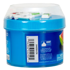Jolly Rancher Fruity Punch Glossy Slime Dome Jar (6.5 oz)