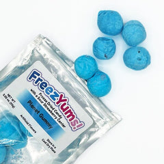  Freeze Dried Gummy Sharks - Premium Candy Shipped in a