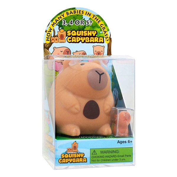 Squishy Capybara Fidget Toys Mother & Babies Mystery Box Simple Exclusive