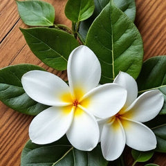 Scenabella "Sea Breeze" Femme Fragrance Hair & Body Mist Spray (100mL) Simple Exclusive