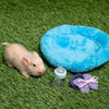 True Heart Treasures Reborn Animals: Poppy The Pig Realistic Mini Silicone Newborn Baby Pig