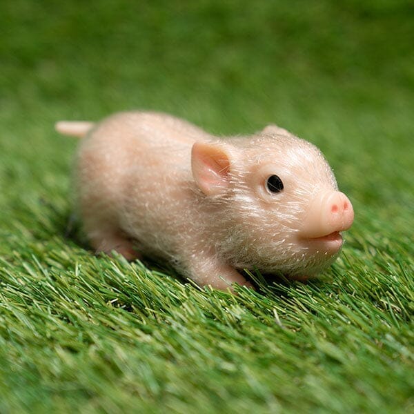 Reborn Realistic Mini Silicone Newborn Baby Pig Toy | Pre-Order Preorder Showcase