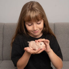 Reborn Realistic Mini Silicone Newborn Baby Pig Toy | Pre-Order Preorder Showcase