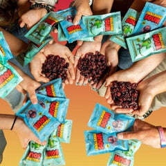 Final Boss Sour Dried Berry Candy (30g) Level 1 Strawberries Simple Final Boss Sour