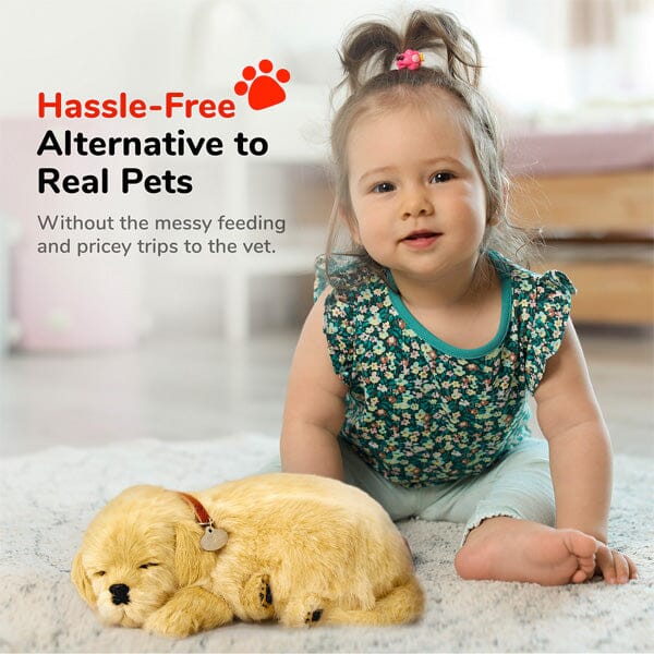 Sweet Petzzz: Realistic Dog & Cat Plush Dolls | Multiple Styles Simple Showcase