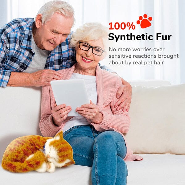 Sweet Petzzz: Realistic Dog & Cat Plush Dolls | Multiple Styles Simple Showcase