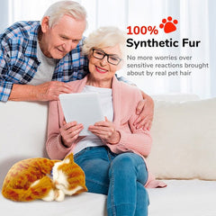 Sweet Petzzz: Realistic Dog & Cat Plush Dolls | Multiple Styles Simple Showcase