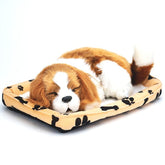 Sweet Petzzz: Realistic Dog & Cat Plush Dolls | Multiple Styles Simple Showcase