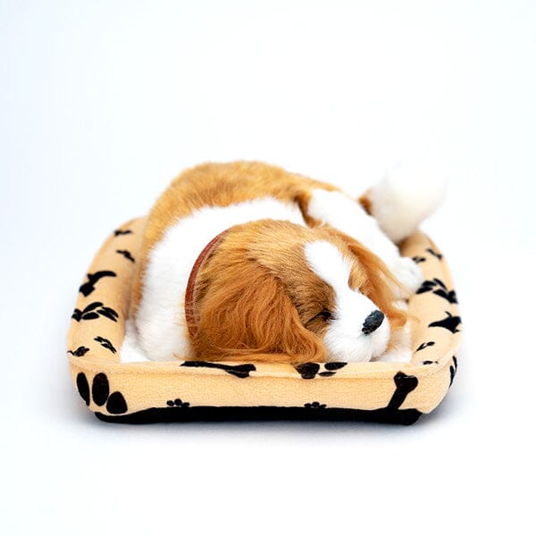 Sweet Petzzz: Realistic Dog & Cat Plush Dolls | Multiple Styles Simple Showcase