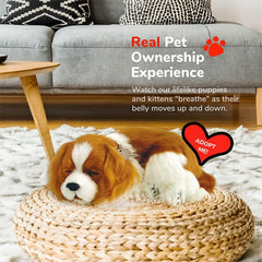 Sweet Petzzz: Realistic Dog & Cat Plush Dolls | Multiple Styles Simple Showcase