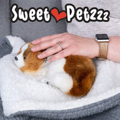 Sweet Petzzz: Realistic Dog & Cat Plush Dolls | Multiple Styles Simple Showcase