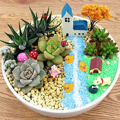Hide-A-Duck (100pc) | Tiny Resin Ducks To Prank Your Friends With! | As Seen On Social Simple Showcase