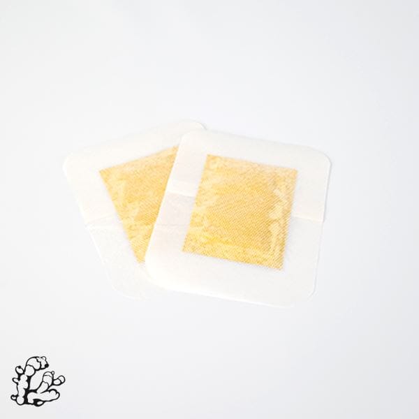 revivasol ginger detox foot pads