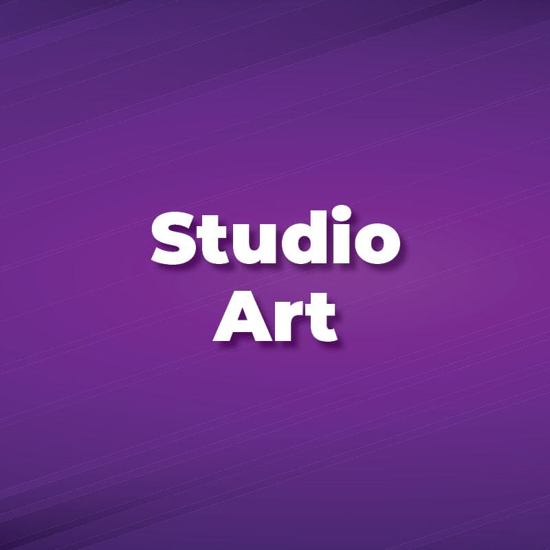 All Studio Art & Diamond Paintings