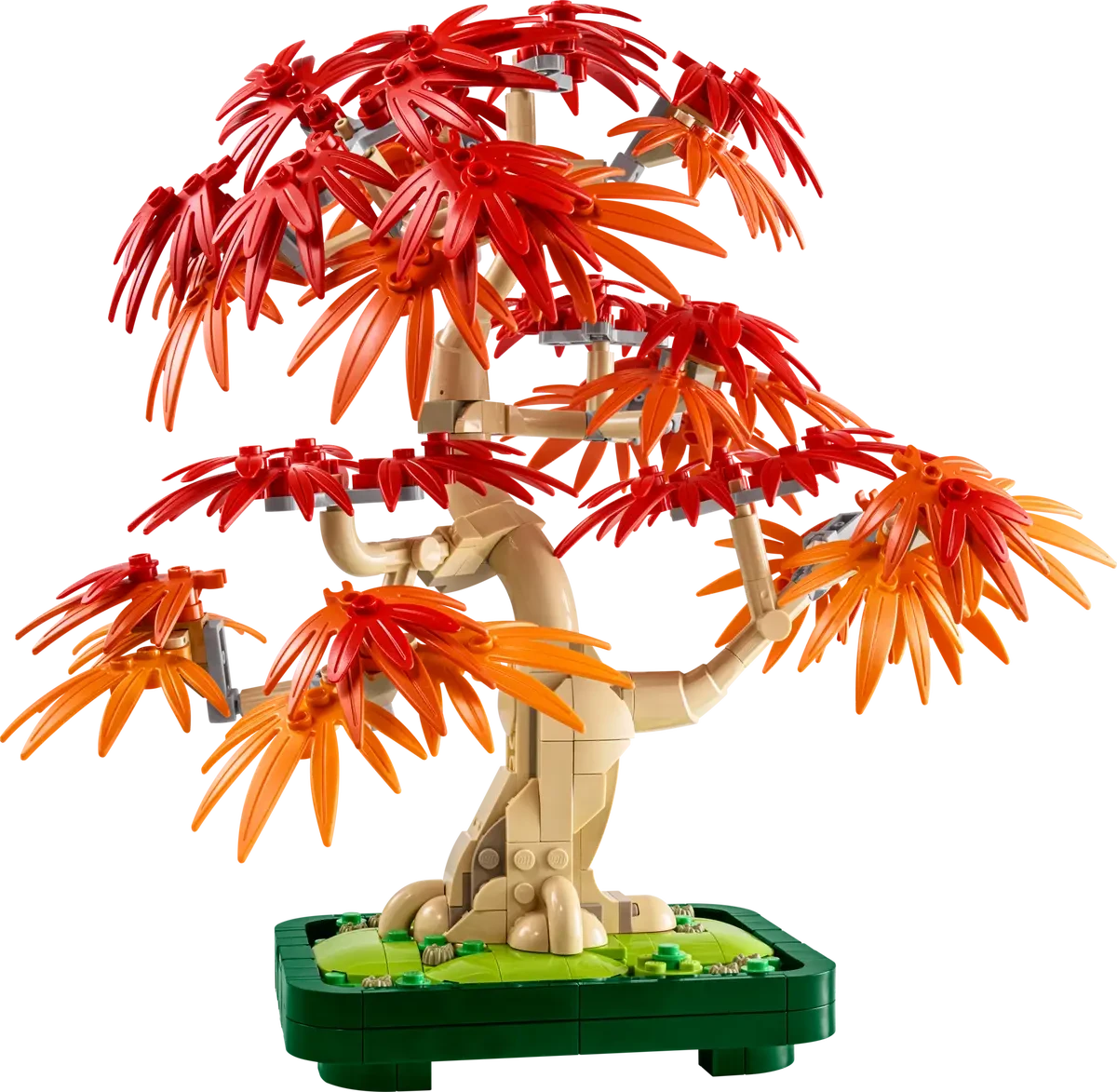 LEGO® Japanese Red Maple Bonsai Tree Showcase 
