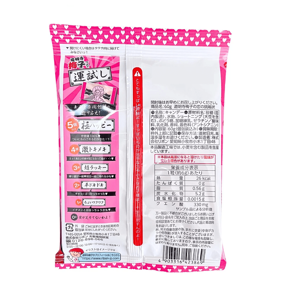 RIBON Sour Challenge! Plum Sour Candy - 60g Simple RIBON 