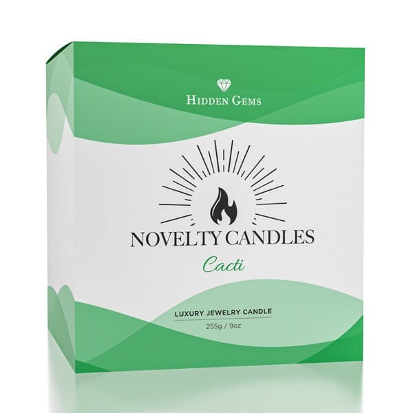 Hidden Gems Succulent Cactus Novelty Candle | 1 Ring Inside Simple magazineracksdirect 