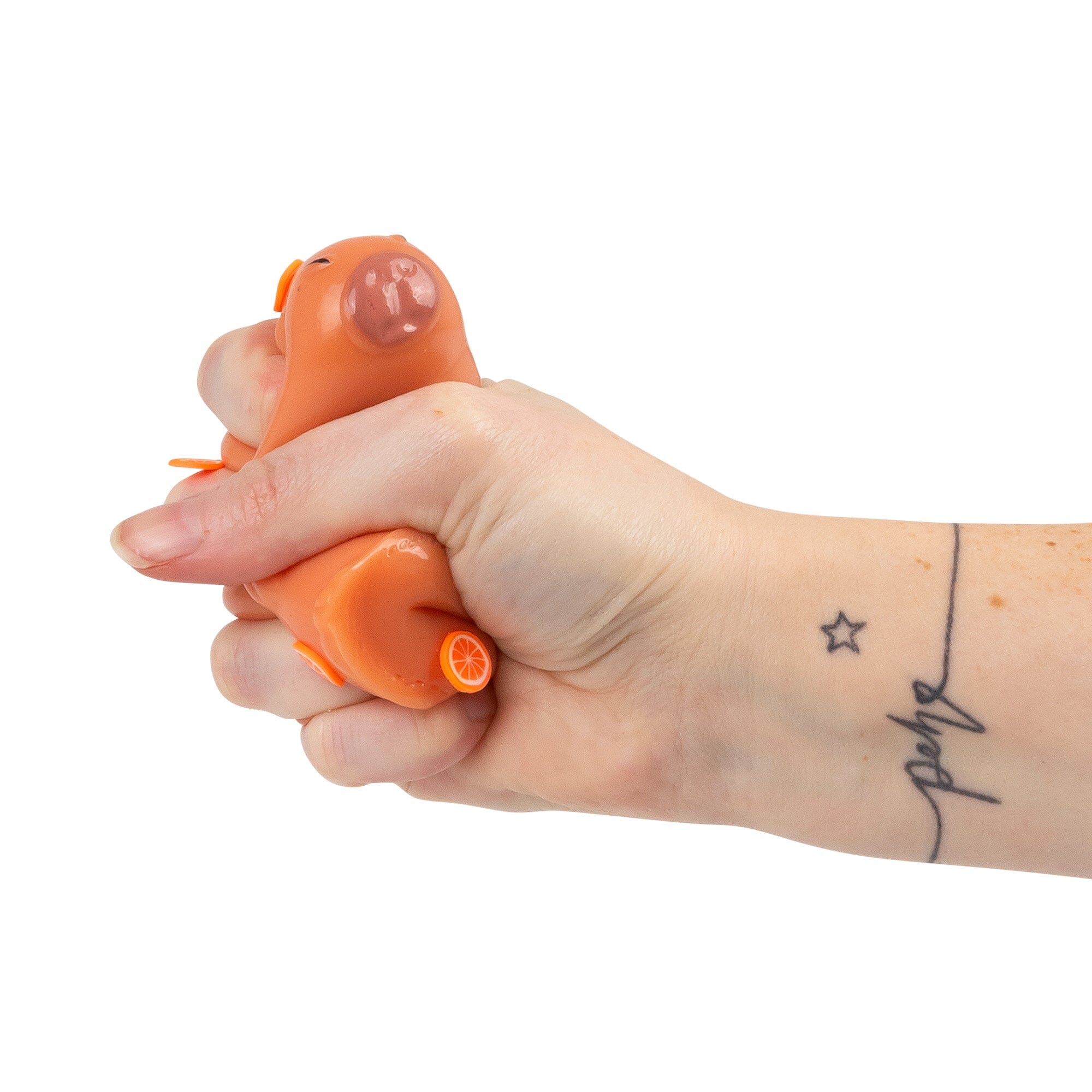 Scrunchems Sticky Squishy Capybara Fidget Toy (1pc) Simple Scrunchems 