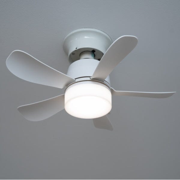 Breeze Ease 2-In-1 Fan And Light With Rc.