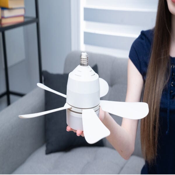 Breeze Ease 2-In-1 Fan And Light With Rc.