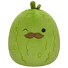 Squishmallows Super Soft Plush Toys | 7.5 Charles the Pickle