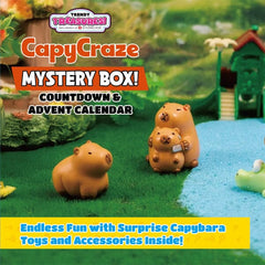 CapyCraze Mystery Box: Capybara Mystery Box (24Pcs) Preorder magazineracksdirect 