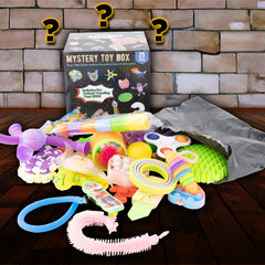 Mystery Fidget Toy Kit (25 pc) Up To $100 In Value! Simple Exclusive 