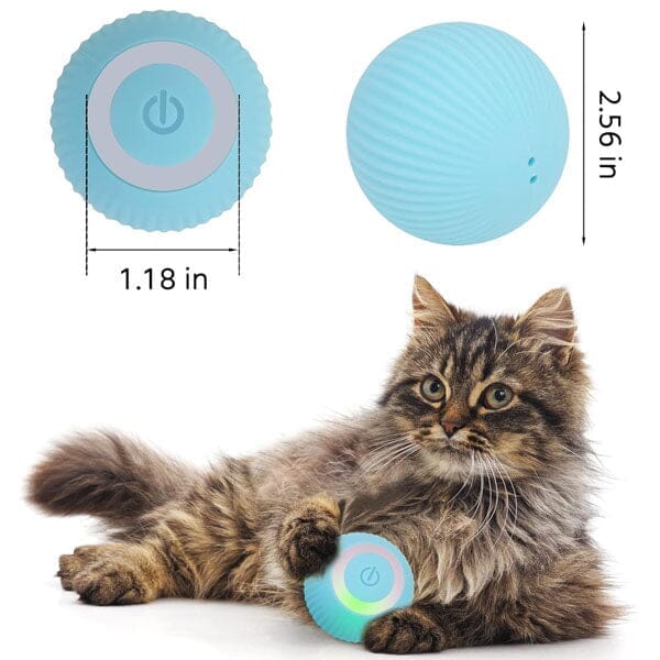 WhirlCatty: The Magic Ball Cat Toy | As Seen On TikTok! | Pre-Order Preorder magazineracksdirect 