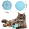 WhirlCatty: The Magic Ball Cat Toy | As Seen On TikTok! | Pre-Order