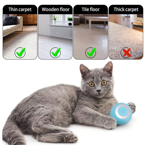 WhirlCatty: The Magic Ball Cat Toy | As Seen On TikTok! | Pre-Order Preorder magazineracksdirect 