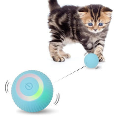 WhirlCatty: The Magic Ball Cat Toy | As Seen On TikTok! | Pre-Order Preorder magazineracksdirect 