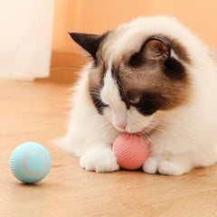 Magic jumping cat ball online