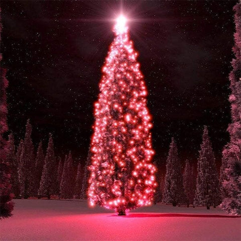 The FunkyFir Tree | 63 Pre-Lit LED Felt Christmas Tree Wall Hanger (Includes Ornaments!)