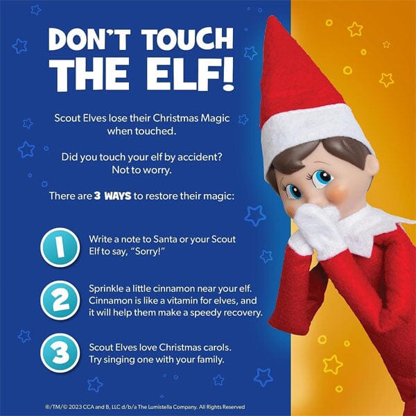 Elf On The Shelf® Official Christmas Tradition Kit (Blue Eye Boy English/French) Includes Storybook & Scout Elf! Simple Exclusive 