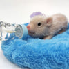 Reborn Animals: Poppy The Pig | Realistic Mini Silicone Newborn Baby Pig
