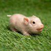 TrueHeart Treasures Reborn Animals: Realistic Mini Silicone Newborn Baby Animals (Multiple Styles)