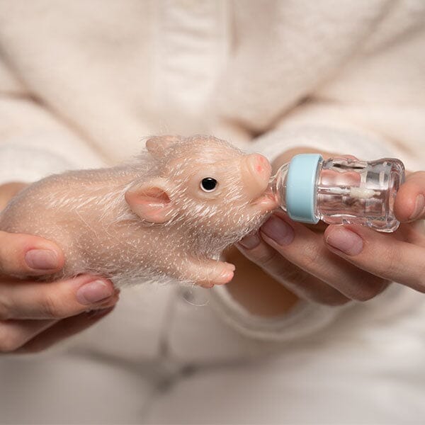 Reborn Realistic Mini Silicone Newborn Baby Pig Toy | Pre-Order Preorder Showcase 