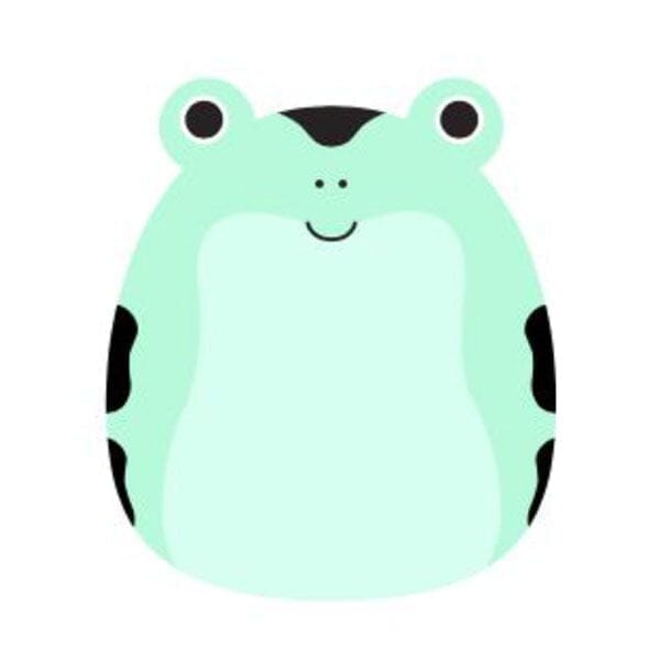  Cute Frog Blanket Frog Gifts for Frog Lovers Soft Cozy