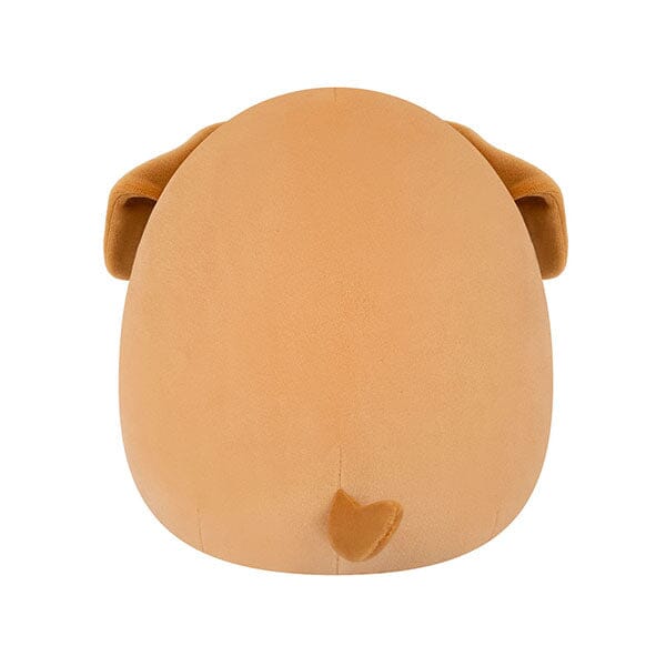 Squishmallows Super Soft Plush Toys 7.5" Sam the Brown Dog (White Belly) Simple Squishmallows 