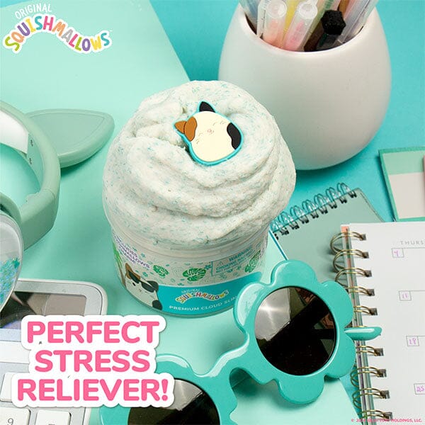 Squishmallows Premium Cloud Slime Fidget Putty Jar Multiple Scents & Styles Simple magazineracksdirect 