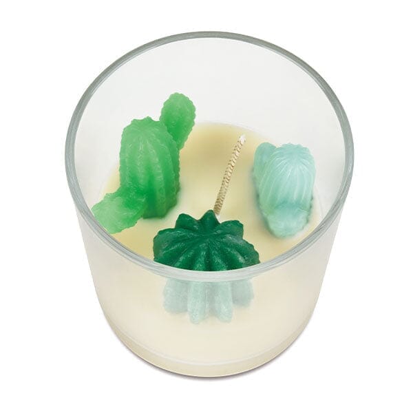 Hidden Gems Succulent Cactus Novelty Candle | 1 Ring Inside Simple magazineracksdirect 