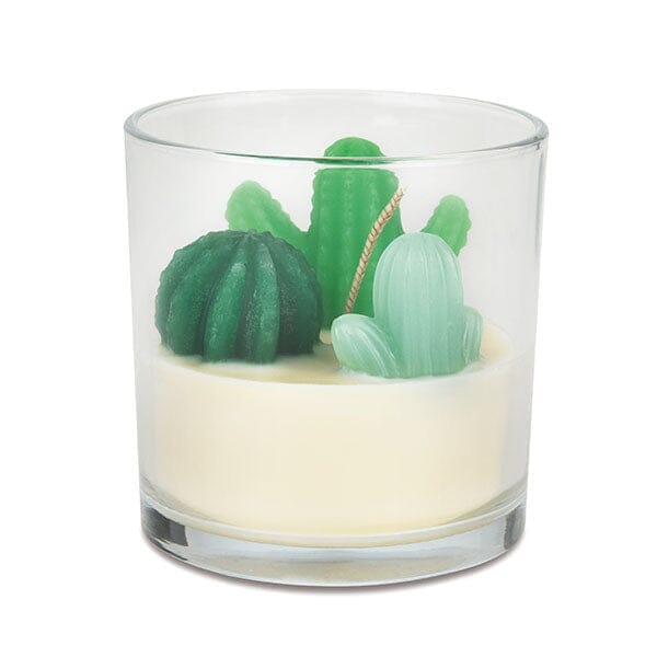 Hidden Gems Succulent Cactus Novelty Candle | 1 Ring Inside Simple magazineracksdirect 