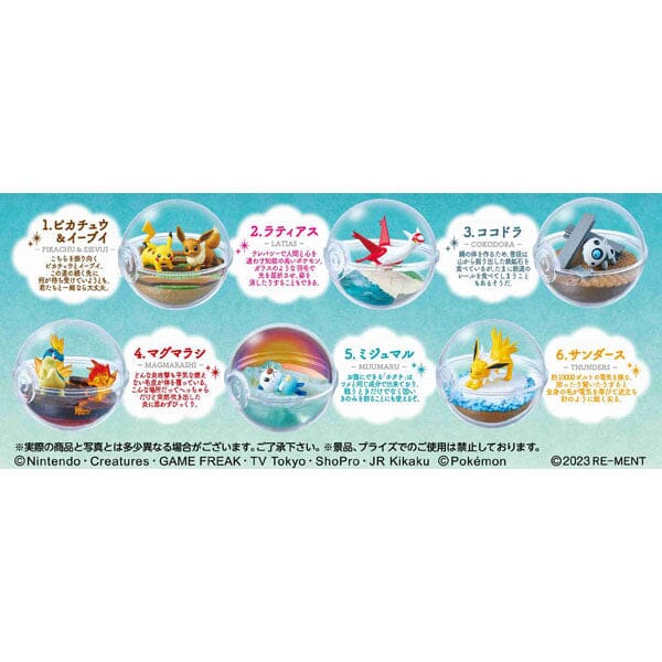 Re-Ment Pokémon: Terrarium Collection Vol. 13 Blind Box (1pc) Simple Re-Ment 