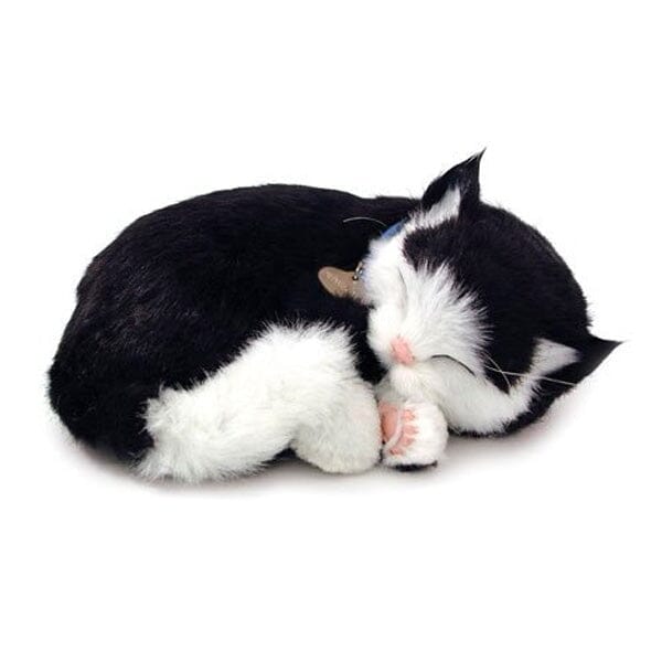 Sweet Petzzz: Realistic Dog Cat Plush Dolls Multiple Styles Black White Cat