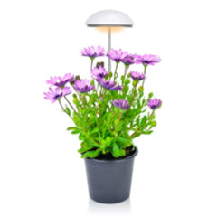 House Plant USB LED-Grow Light | Pre-Order Preorder Showcase 