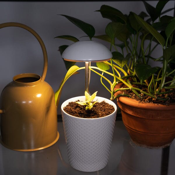 Grow-Pho: USB Powered LED Grow-Light for House Plants Simple Showcase 